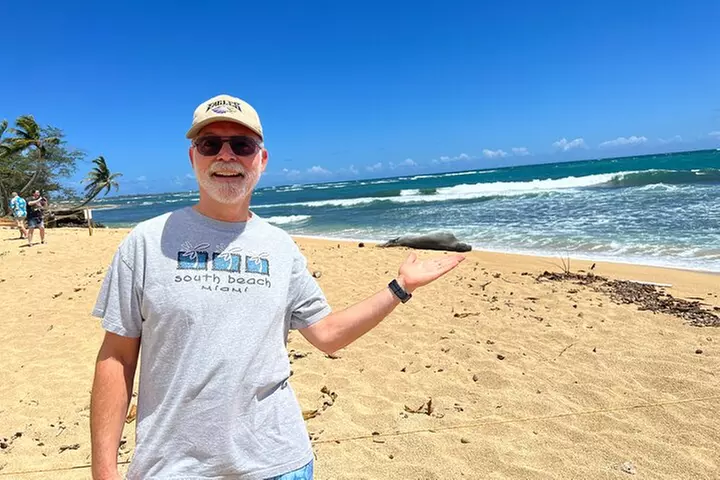 Oahu Circle Island Tour Great for Solo Travelers and Small Groups - Primary Image