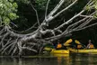 Fajardo Bioluminescent Bay Night Kayak Adventure from San Juan - Second Medium