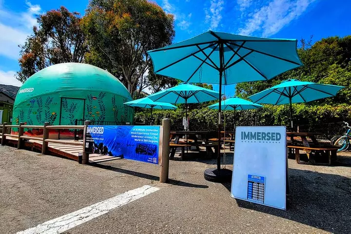 A 360° Immersive Ocean Movie Experience (Catalina Island)