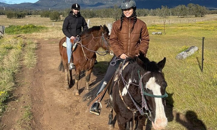 Image 5: Hunter Valley Horse Ride - 90 Minutes -Vineyard & Mountain Views