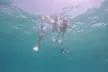 Ocean Ridge Snorkeling and Freediving Activity - Second Medium
