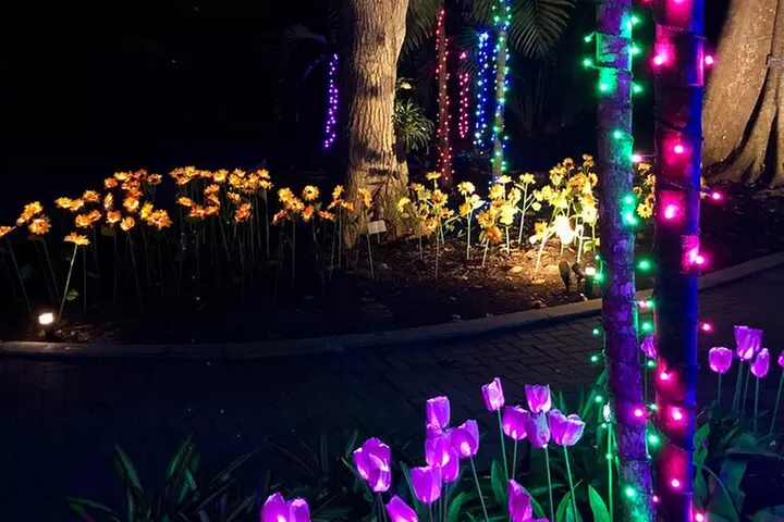 Flamingo Gardens' Garden of Lights - Primary Image