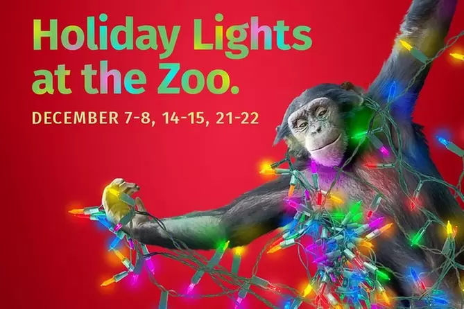 Skip the Line: Holiday Lights at the Chattanooga Zoo Ticket - Primary Image