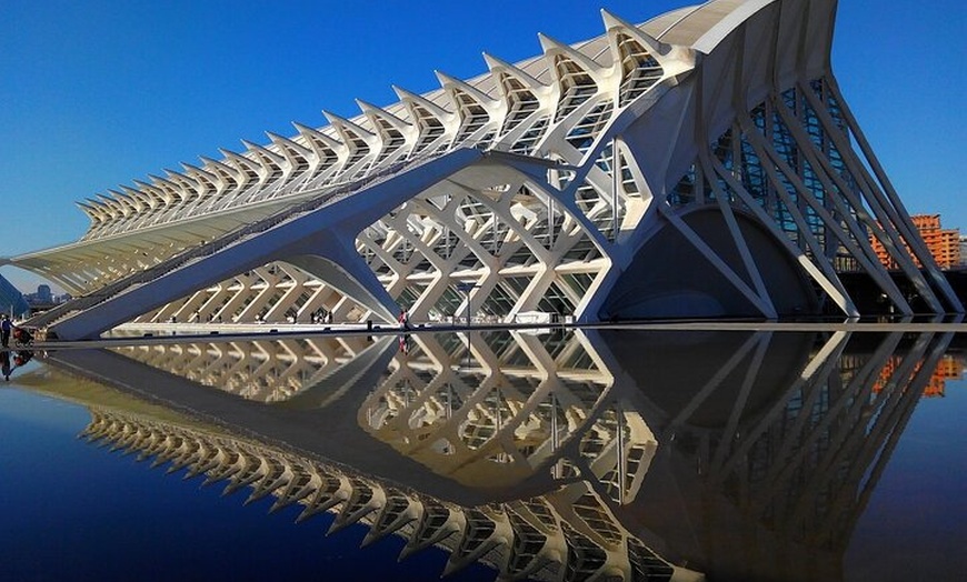 Image 6: Tour privado de Valencia por los lugares más destacados