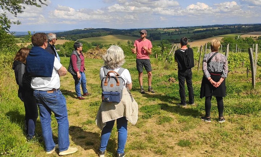 Image 2: Fronton Escapade Viticole en Petit Groupe Départ Toulouse