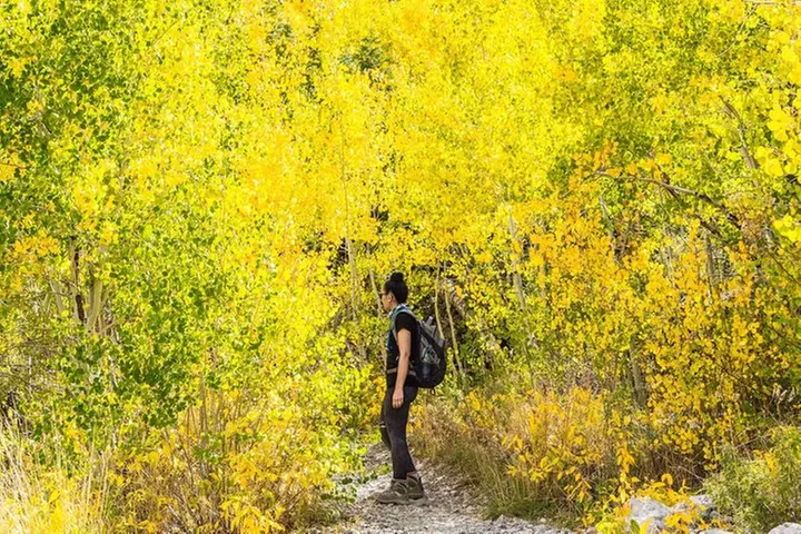 Mount Charleston Tour from Las Vegas