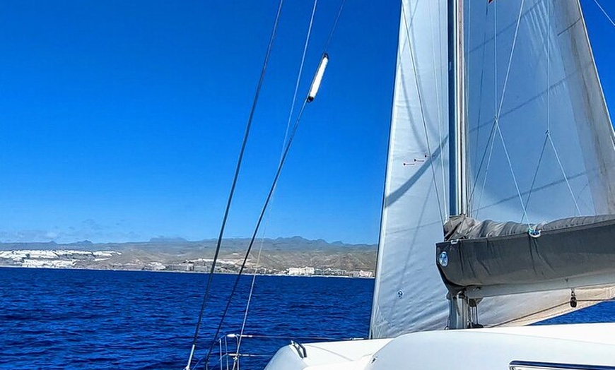 Image 7: Crucero privado por la noche de 3 horas