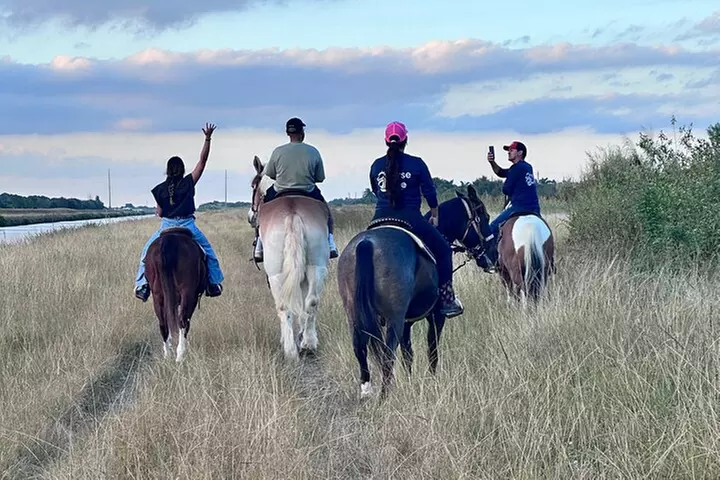 Horseback Riding in Miami