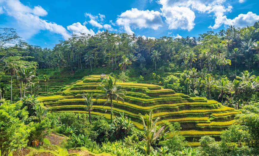 Image 4: ✈ BALI | Denpasar - A la découverte de Bali en famille 3*, 12 nuit ...