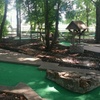 Image 3: $22.75 For Miniature Golf & A Large Cheese Pizza For 4 (Reg. $45.50)