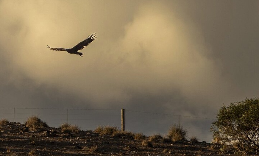 Image 13: Burra Township to Mount Bryan History and Landscape Day Tour