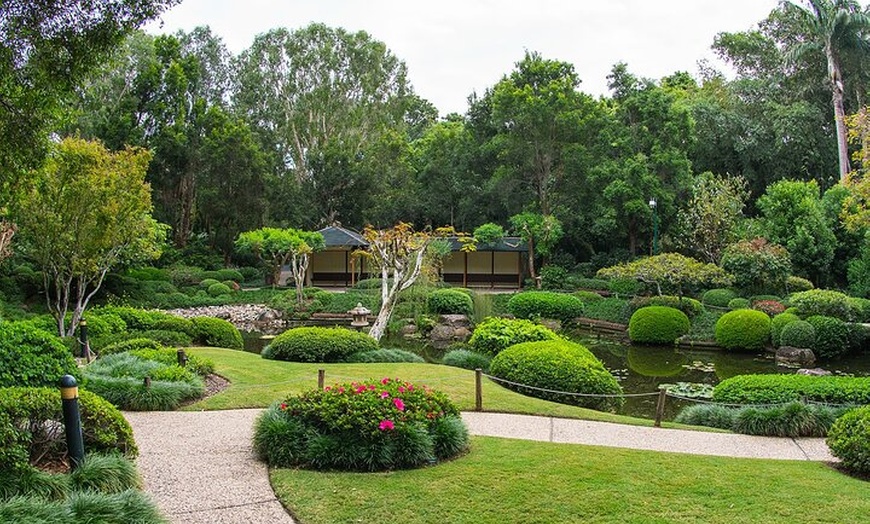 Image 3: Brisbane Insights Tour