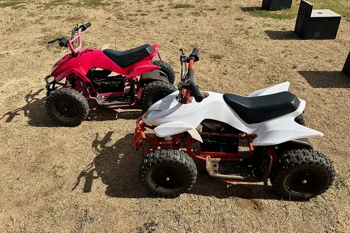 Mini ATVs and Farm Animal Experience - Primary Image