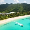 Image 9: ✈ GIAPPONE | Da Tokyo a Osaka - Paradiso Giapponese: Tokyo, Kyoto, ...