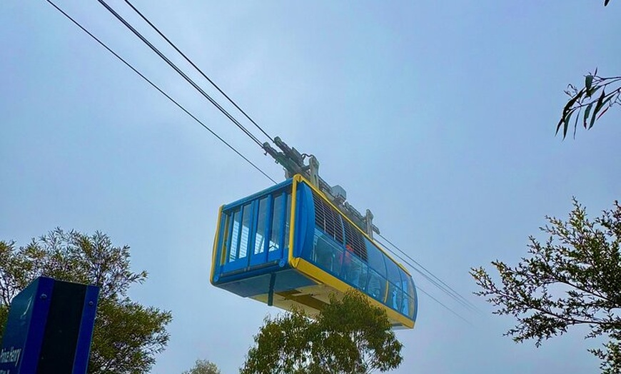 Image 3: Blue Mountains Private Sightseeing Day Tours from Sydney