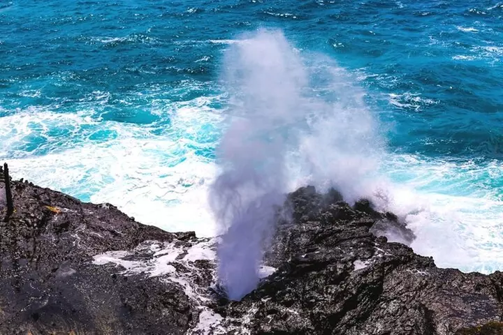 Oahu Private Tour with Mercedes Sprinter & New Luxury Vehicles