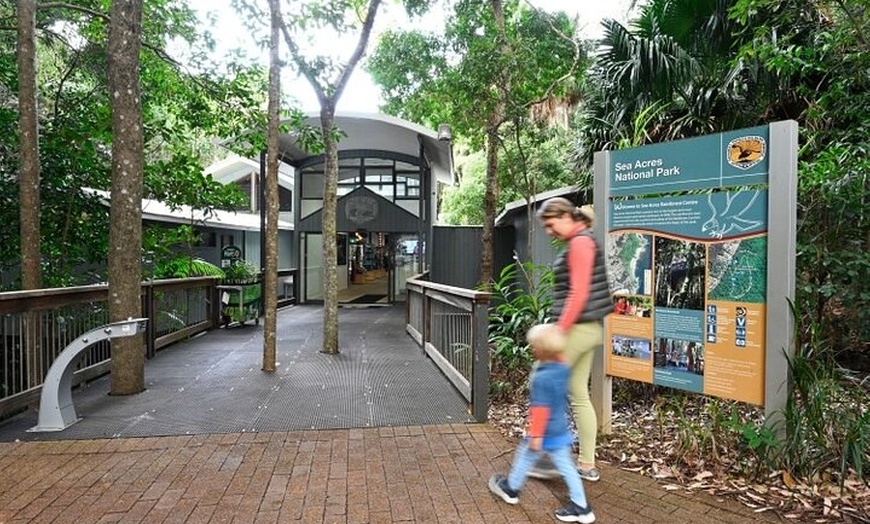 Image 4: Sea Acres National Park: Aboriginal cultural tour