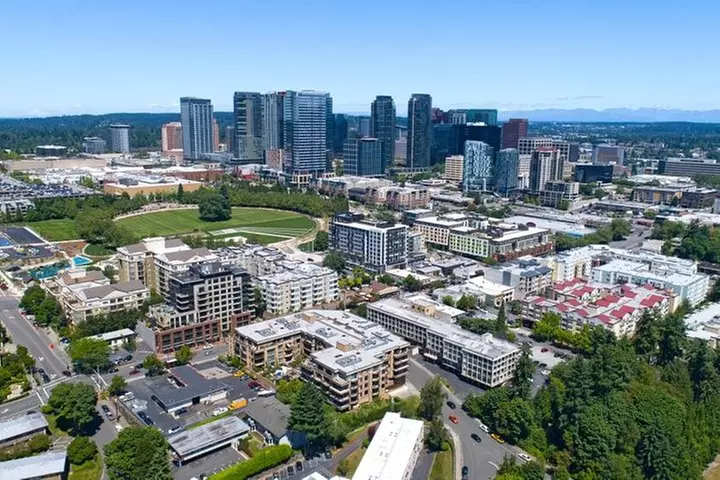 Self-Guided Scavenger Hunt: Beautiful Views of Bellevue - Primary Image