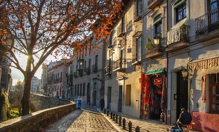 Image 6: Granada Albayzín y Sacromonte desde Estepona y Marbella