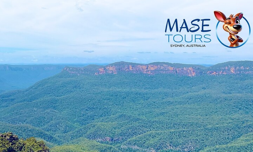 Image 5: Blue Mountains Sydney Zoo koalas & kangaroos Small Group Tour