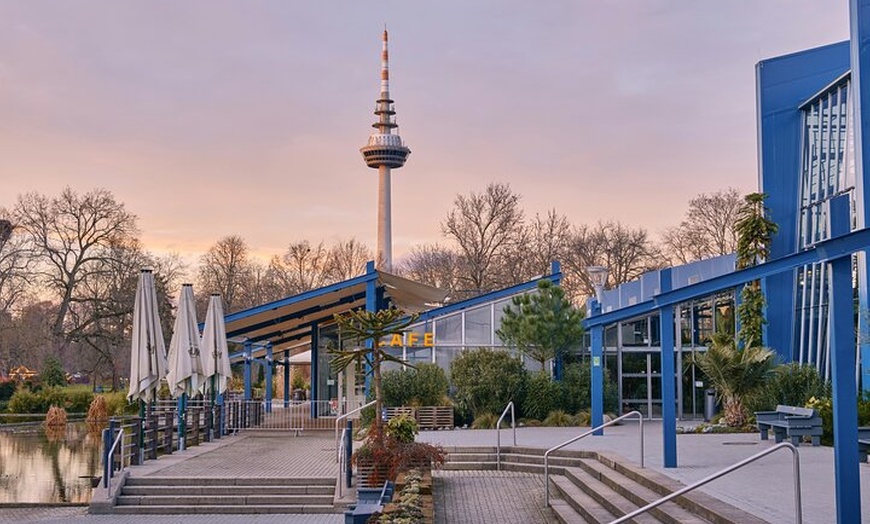 Image 3: Heidelberg und Mannheim Tagesausflug ab Stuttgart + Kostenloses Fot...