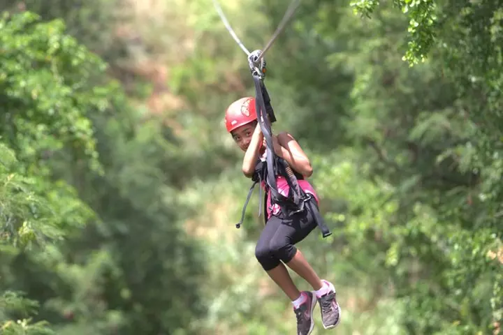 3 Zipline Adventure at Coral Crater with Optional Waikiki Shuttle