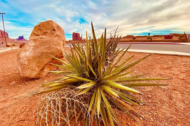 Monument Valley Extended Backcountry Tour