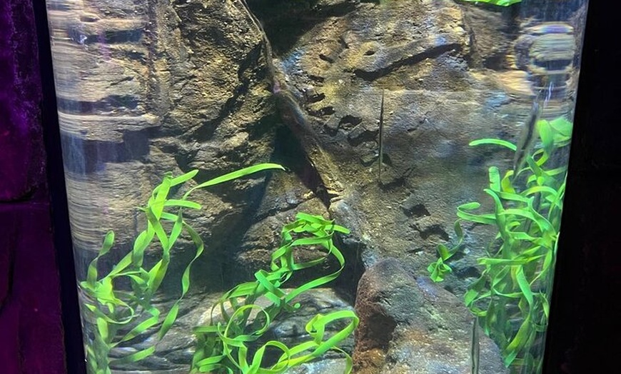 Image 27: Luxury Private Tour in London