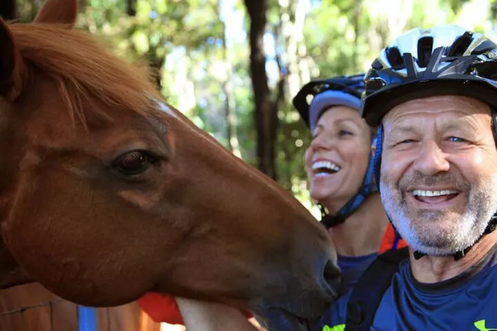 Best Haleakala Downhill Self-Guided Bike Tour with Maui Sunriders