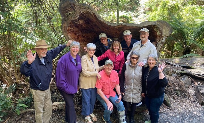 Image 35: Great Ocean Road & Beyond 4 day Adventure Melbourne to Adelaide