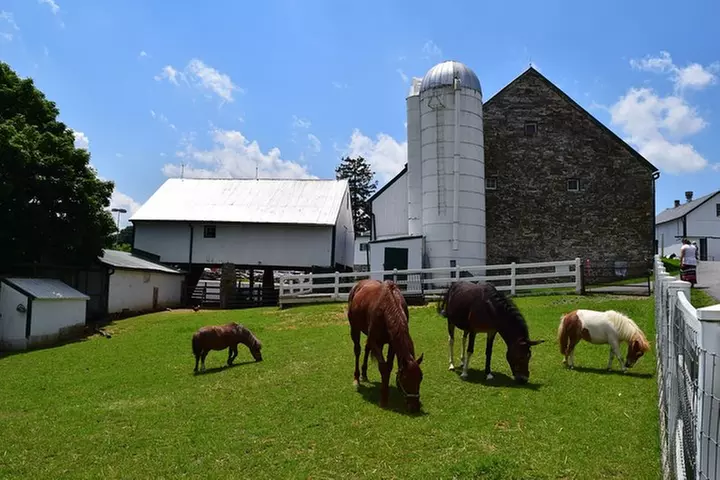 Premium Amish Country Tour including Amish Farm and House