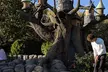 $20 For 18 Holes Of Mini Golf For 4 People (Reg. $40) - Second Medium