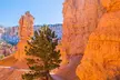 Bryce Canyon and Zion National Park Tour - Second Medium