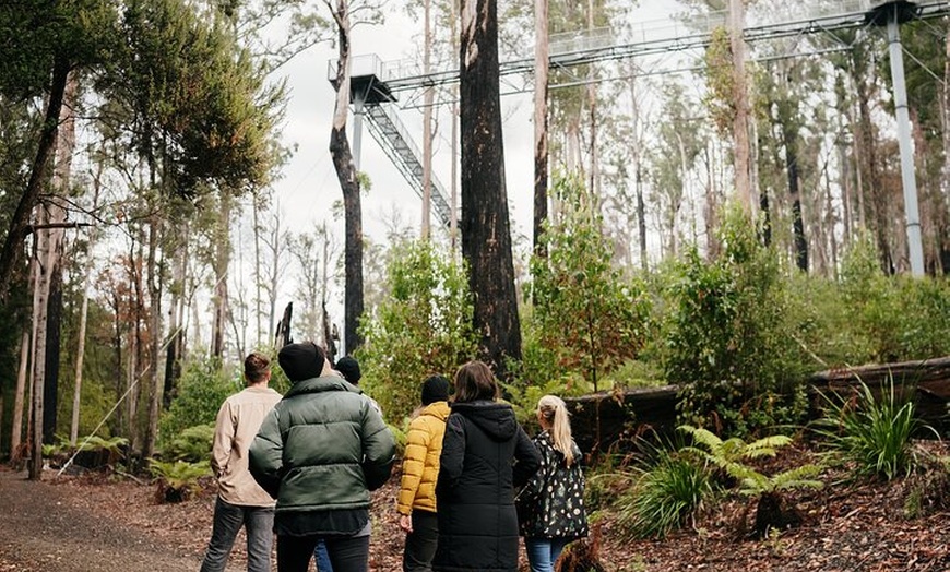 Image 20: 6 Day Island Icons Tassie Day Tour Bundle
