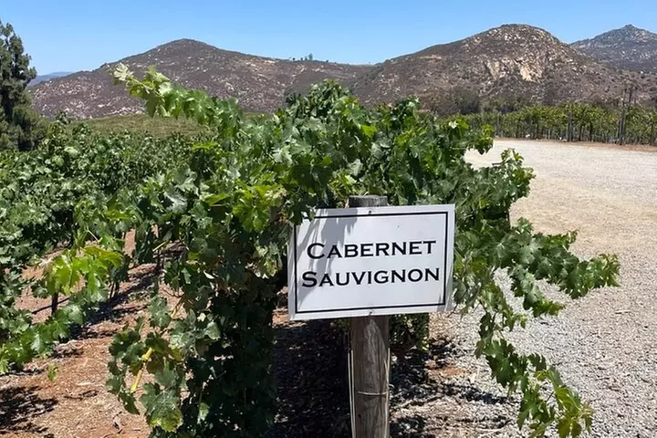 San Diego County Wine Tour (Private)