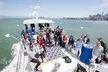 San Diego Whale/Dolphin Watching Cruise Aboard Luxury Vessel - Second Medium