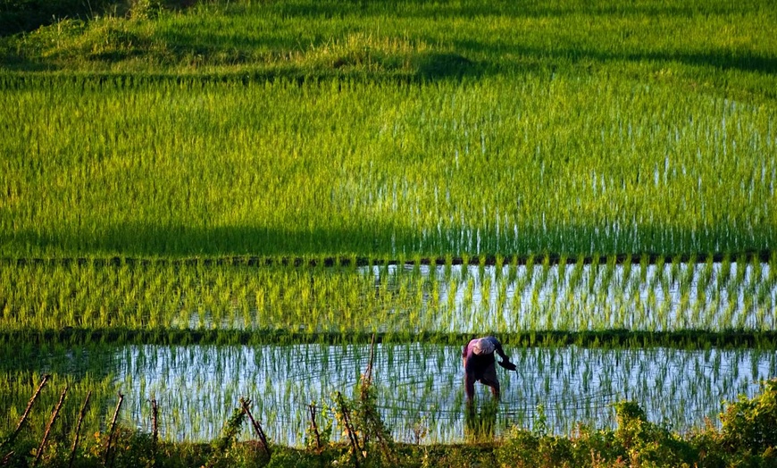 Image 9: ✈ BALI | Denpasar - A la découverte de Bali en famille 3*, 12 nuit ...