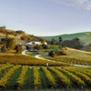 Image 9: Premium All-Inclusive Barossa Food and Wine Minibus Tour