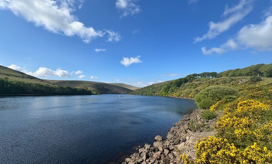 Image 5: Half day Guided Dartmoor Tour