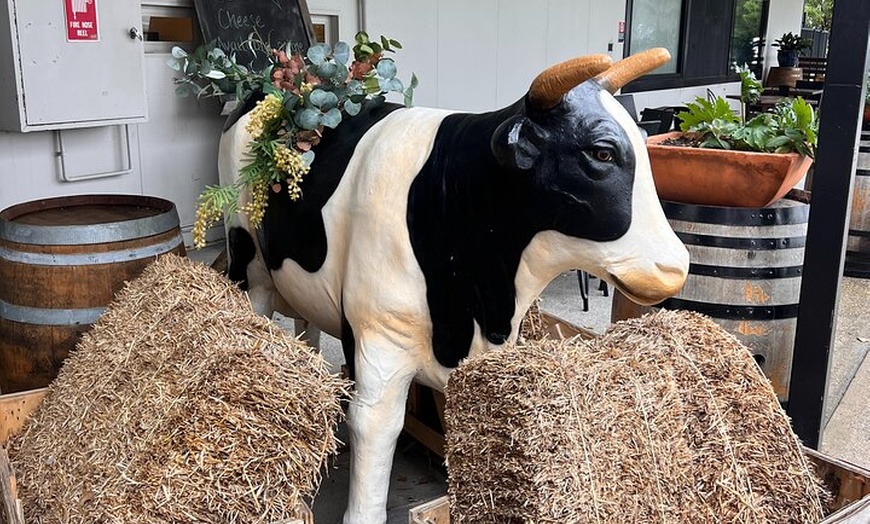 Image 33: Hunter Valley Wine tasting Private Tour From Sydney