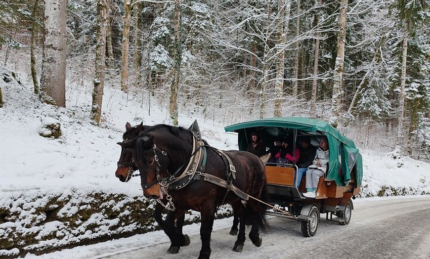 Image 4: München : Neuschwanstein mit Bus & mit opt. München XMAS Marktführung