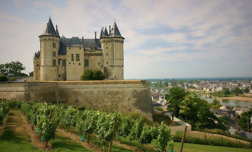 Image 9: Excursion privée d'une journée aux châteaux de la vallée de la Loir...