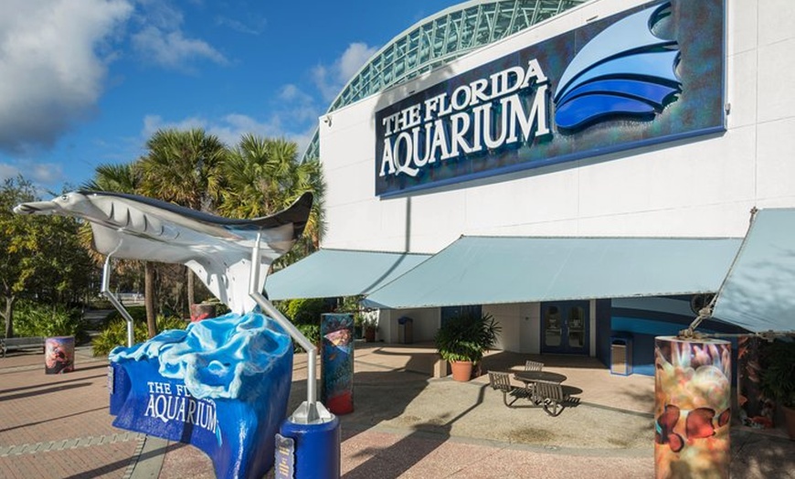 Tampa's ZooQuarium Ticket - Tampa's ZooQuarium Ticket | Groupon