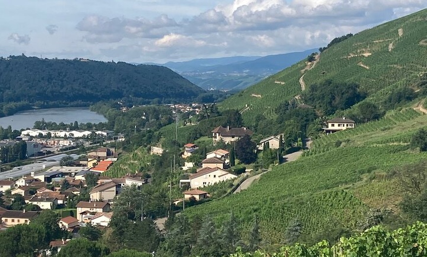 Image 6: Randonnée et Vin entre Côte-Rôtie et Condrieu