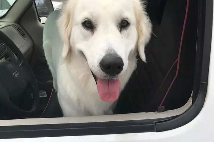 Group Surf Lessons for beginners on the North Shore of Oahu