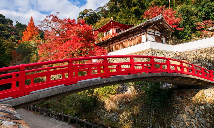 Image 14: ✈ GIAPPONE | Osaka - Alla scoperta di Hyogo e Kansai 3* - Tour