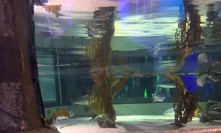 Image 20: Luxury Private Tour in London