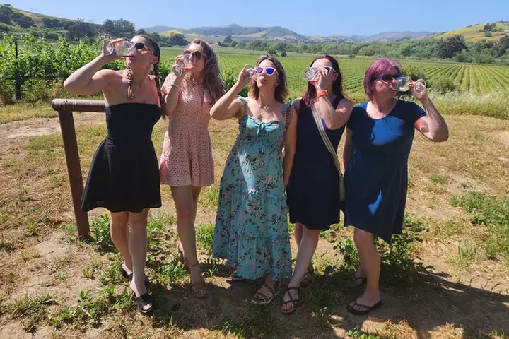 Solvang Santa Ynez Valley Small Group All-Inclusive Wine Tour