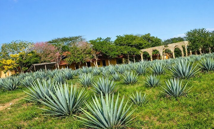 Image 11: All Inclusive to Chichen Itza + Cenote Hubiku & Valladolid