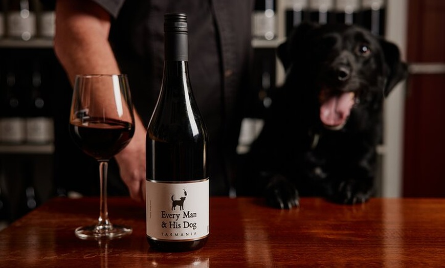 Image 1: Wine Tasting Experience at Every Man and His Dog Vineyard